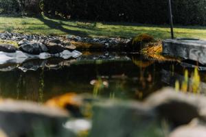 Gallery image of Pension Kristall in Elbingerode