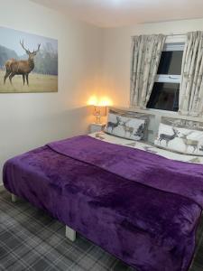 a bedroom with a purple bed with a deer on the wall at Lamlash (holiday) Lets in Lamlash