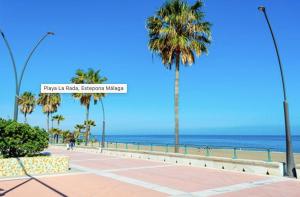 a beach with palm trees and the ocean at CASA SOHO Y ALEX in Estepona