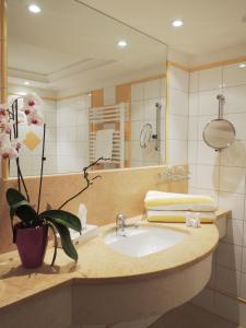 Koupelna v ubytování Hotel Binggl