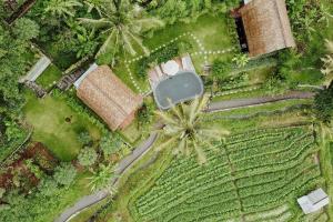 an aerial view of a farm with palm trees at Like living in a romantic Balinese painting in Sidemen