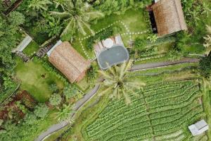 Vườn quanh Like living in a romantic Balinese painting