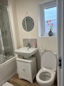 a bathroom with a toilet and a sink and a shower at Cosy double room with private bathroom homestay in Caldecote