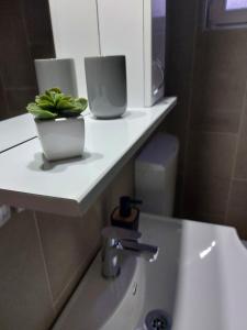 Зображення з фотогалереї помешкання Scala Studio Apartments у місті Бачка-Топола