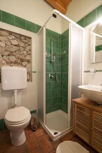 a bathroom with a shower and a toilet and a sink at Agriturismo BioBiò in Vobarno +32 photos