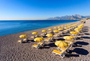 a group of chairs and umbrellas on a beach at Özkaymak Falez Hotel in Antalya