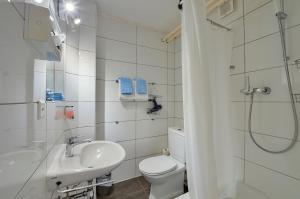 La salle de bains est pourvue de toilettes, d'un lavabo et d'une douche. dans l'établissement Casa Liliane, à Ascona
