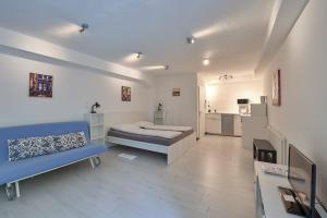 Großes Zimmer mit einem Bett und einer Küche. in der Unterkunft Casa Liliane in Ascona
