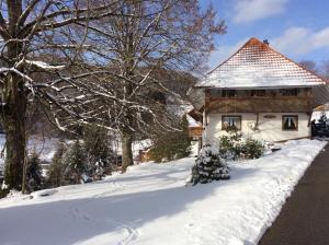une maison recouverte de neige à côté d'une route dans l'établissement Ferienwohnung Zweilinden, à Steinen