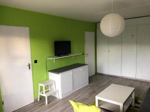 sala de estar con pared verde y TV en Gemütliche Ferienwohnung in Altreichenau en Altreichenau