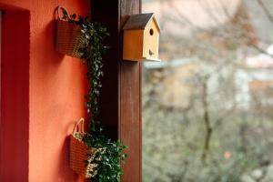 Imagine din galeria proprietății Home & Garden with stunning view în Sinaia