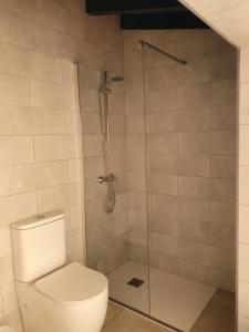 a bathroom with a toilet and a shower at Apartamentos Casa Blanca in Torremolinos