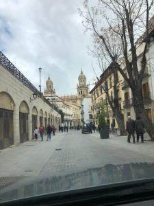 um grupo de pessoas andando por uma rua da cidade em ACC Seminario Park Paradise em Jaén