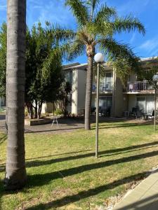 zwei Palmen vor einem Haus in der Unterkunft Paradise Palms in Mandurah