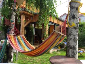 a hammock hanging from a tree in front of a house at Chalet cosy à Lamastre, jardin clos in Lamastre