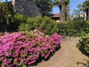Vonkajšia záhrada v ubytovaní Casa Anna - Parco Hermitage