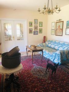 una sala de estar con una cama y un gato negro en ella en Posada El Urogallo en Renedo de Cabuérniga en Renedo