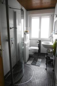 a bathroom with a shower and a sink and a toilet at Fewo Ausblicke in Bodenwerder