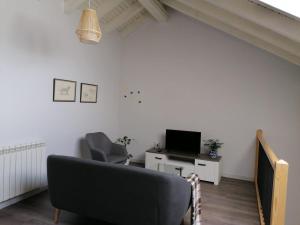 Televízia a/alebo spoločenská miestnosť v ubytovaní Casa Pauet d'Escalarre
