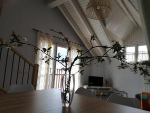 Televízia a/alebo spoločenská miestnosť v ubytovaní Casa Pauet d'Escalarre