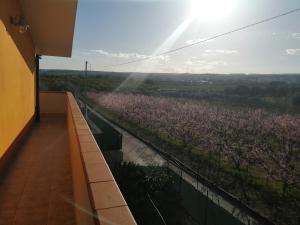 Fotografia z galérie ubytovania Villa Caterina v destinácii Solarino