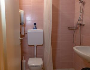 a bathroom with a toilet and a sink at Ostello Castello Mina Della Scala in Casteldidone