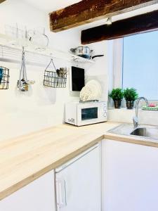 un bancone della cucina con forno a microonde e lavandino di Mini Loft Plaza España a Jerez de la Frontera