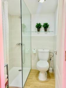 łazienka z toaletą i przeszklonym prysznicem w obiekcie Mini Loft Plaza España w mieście Jerez de la Frontera