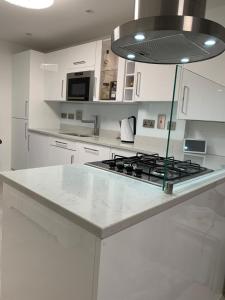 Η κουζίνα ή μικρή κουζίνα στο A BYK luxury modern home that sleeps 2 - 8 people