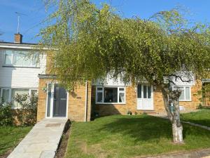 a house with a tree in the front yard at •11 The Nook in Wivenhoe