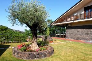 a tree in a flower bed in front of a house at Etna Hut in Nicolosi