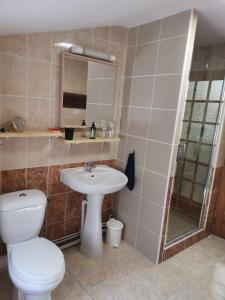 een badkamer met een toilet, een wastafel en een douche bij Le Clos du Lys in Châlons-en-Champagne