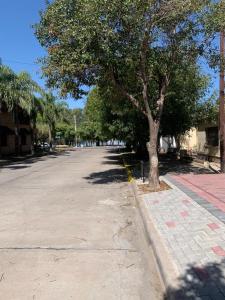 una strada con un albero sul lato della strada di Costanera Aparts a Villa María