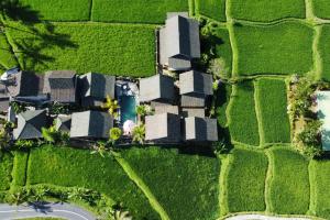 Letecký snímek ubytování Ananda JJ Ubud Resort & Spa
