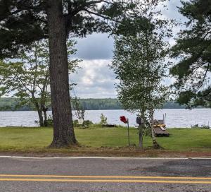 Newly Remodeled Lakefront Cottage in Three Lakes في Three Lakes: وجود علامة توقف على جانب الطريق بالقرب من البحيرة