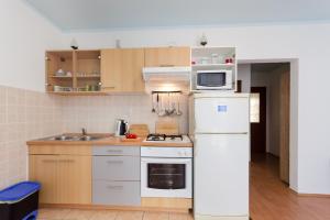 Kuchyň nebo kuchyňský kout v ubytování Apartments Mijatovic