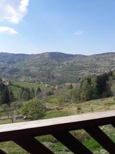 een uitzicht op een vallei vanaf een houten brug bij chalet La Vallée in La Bresse