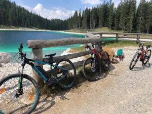 Drei Fahrräder parkten neben einem Zaun in der Nähe eines Sees. in der Unterkunft Hotel Derby in Folgarida + 287 Fotos