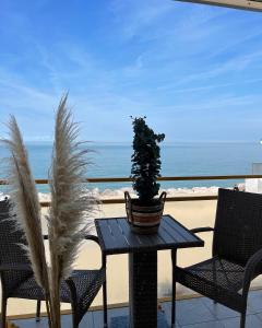 a potted plant sitting on a table on a balcony at Le Studio de la Digue in Wissant