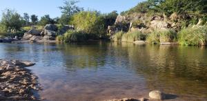 a body of water with rocks and trees at Complejo Tierra Mia in Panaholma