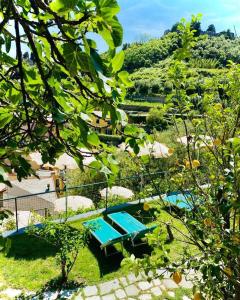 a view of a swimming pool in a garden at Albergo Degli Amici in Monterosso al Mare