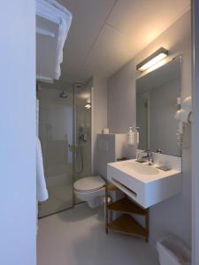 La salle de bains est pourvue d'un lavabo, de toilettes et d'un miroir. dans l'établissement Le Gamaritz, à Biarritz
