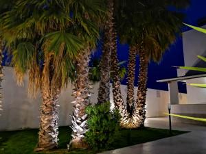 a group of palm trees in a room at MrBrown - Cinzia Resort Beach in Mazara del Vallo
