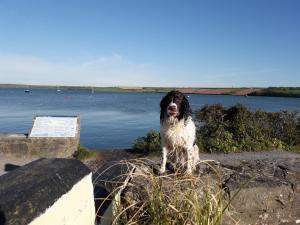 Fotografie z fotogalerie ubytování Anchor Cottage v destinaci Pembrokeshire