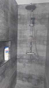 eine Dusche mit Duschkopf im Bad in der Unterkunft 'T boshuisje in Opglabbeek