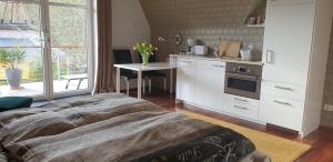 eine Küche mit einem Bett und einem Tisch in einem Zimmer in der Unterkunft Weser-Koje in Elsfleth