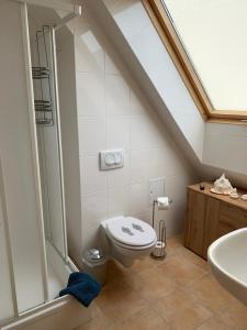 een badkamer met een toilet, een douche en een wastafel bij Frische Brise in Insel Poel