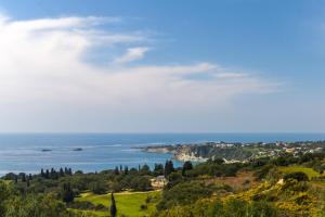 Fotografia z galérie ubytovania Charis - Zeus Blue Villas, Kefalonia v destinácii Spartia