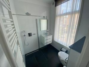 La salle de bains est pourvue d'une douche, de toilettes et d'un lavabo. dans l'établissement Hotel 't Sonnehuys, à Scheveningen