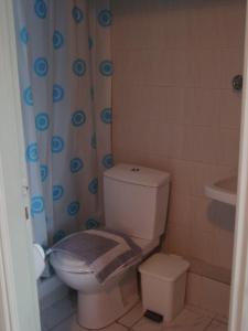ein Badezimmer mit Toilette und Duschvorhang in der Unterkunft Esperides Hotel in Paralia Agias Foteinis
